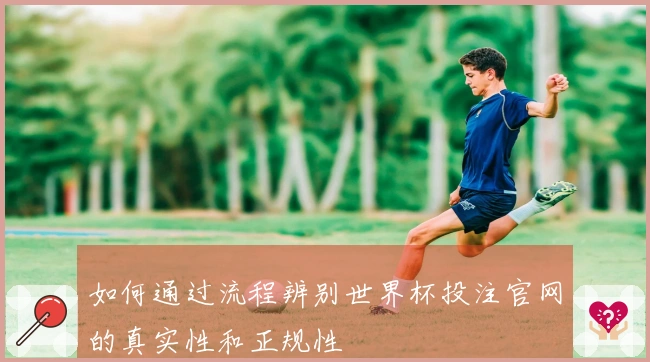 如何通过流程辨别世界杯投注官网的真实性和正规性