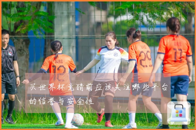 买世界杯竞猜前应该关注哪些平台的信誉与安全性